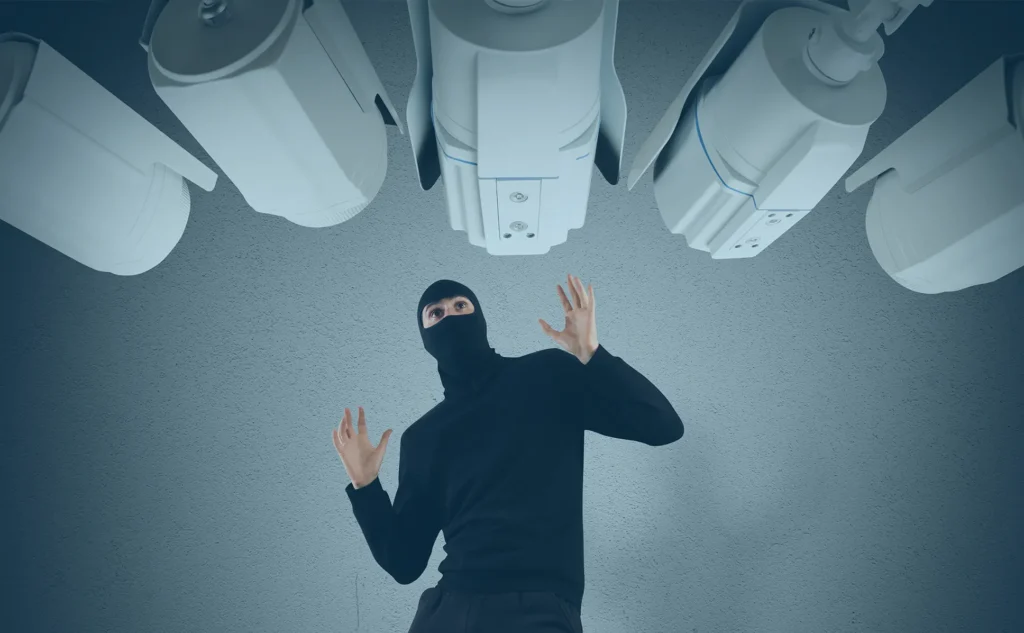 Intruder Caught by Cameras